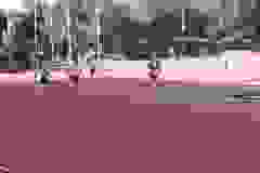 20200725_175905
