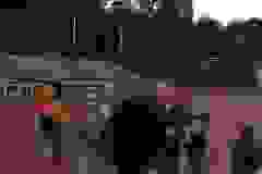 P1080859