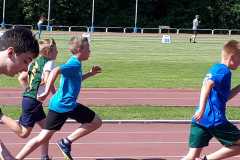 IMG-20210610-WA0014