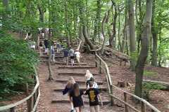 IMG-20220824-WA0006