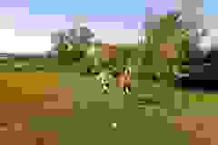 98065716_1862274890573558_8887952103402635264_o