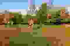 98065740_1862274840573563_3196211891705741312_o