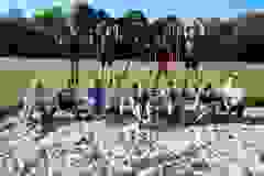 98078220_1862274697240244_6552775511234314240_o